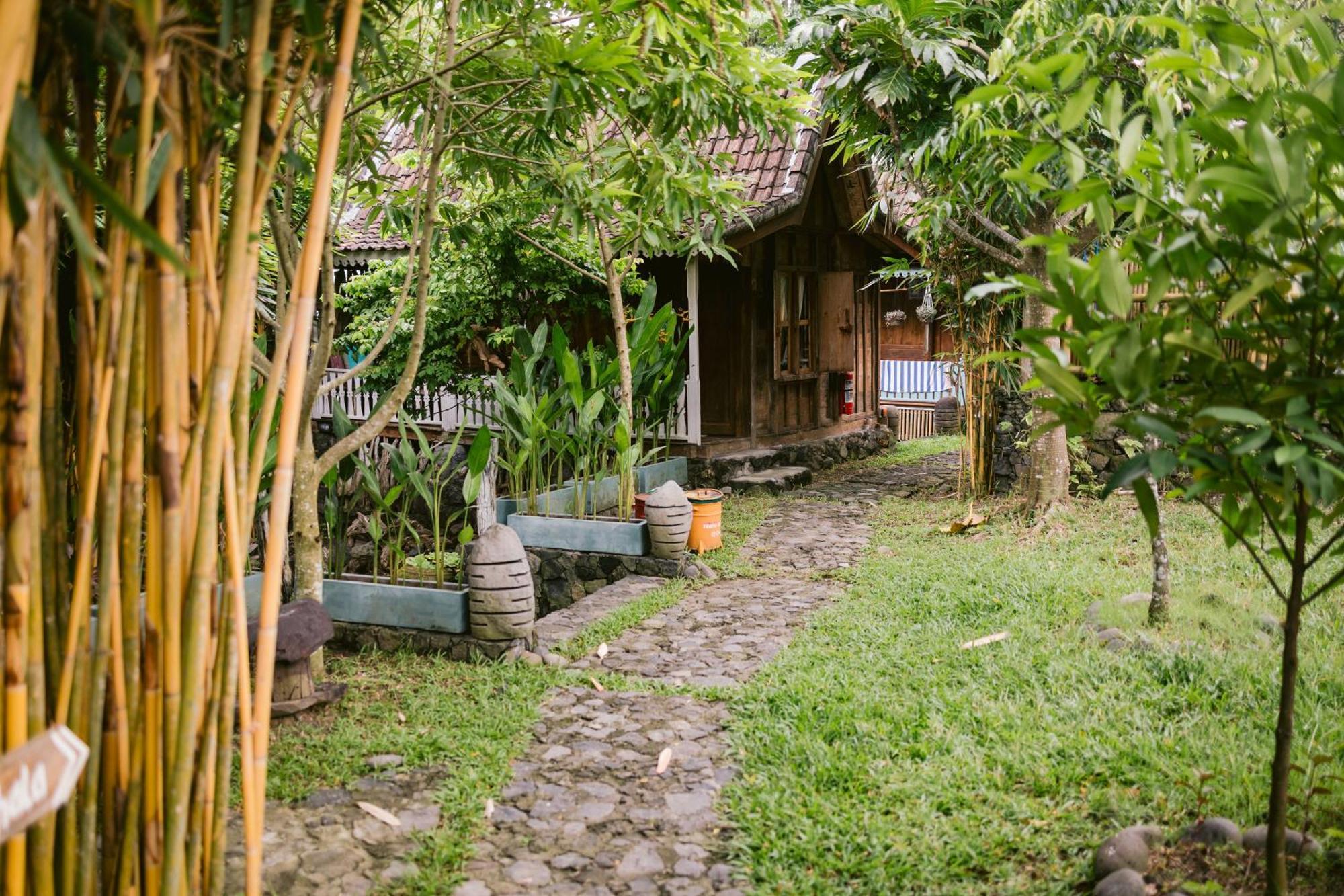 Ubuntu Bali Eco Yoga Retreat - Canggu Exterior foto